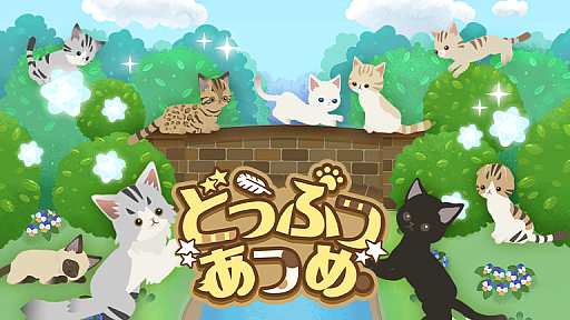 ꡼ No.006Υͥ / ߥƥ֡饤ۿȥबͻ礷ȥ饤֥ߥ󥰡ɾ