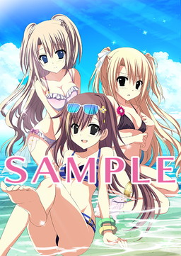 ꡼ No.008Υͥ / ˤäDCסͽŵꡣ2OPθ