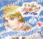 画像ギャラリー No.004のサムネイル画像 / 恋愛ドラマアプリとブルーリアのコラボ第2弾がスタート。「COCOAR2」にてARムービーも公開