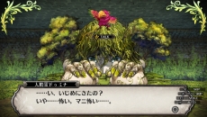 ꡼ No.045 | ֥եϲµܤιġסͷʼ֥פξܺ٤餫ˡȡ֥ååڥꥢפȡ֥ǥ꡼ѡפξ