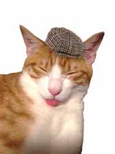 ꡼ No.009 | 饤󥤥٥ȡAimingFES 2017פˤơڷʤ륭ڡ򳫺