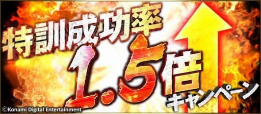 ���������꡼ No.003�Υ���ͥ������ / �֥ץ���她�ԥ�å�A���߷�400��DL�����ˡ���������ܡ��ʥ���»�