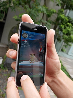 ꡼ No.008Υͥ / Pok&#00233;mon GOסǤΥݥõ䥢ι⤤ХȥʤɤϪ줿ץ쥹ĥݡ