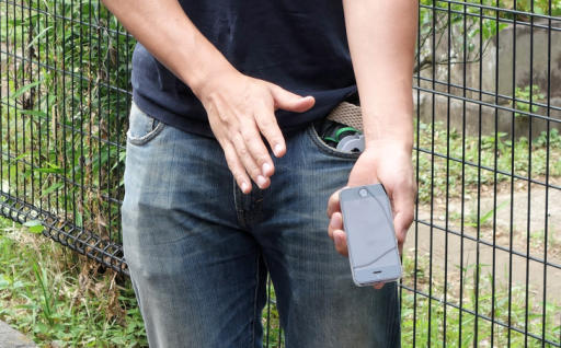 ꡼ No.038Υͥ / Pok&#00233;mon GOסǤΥݥõ䥢ι⤤ХȥʤɤϪ줿ץ쥹ĥݡ