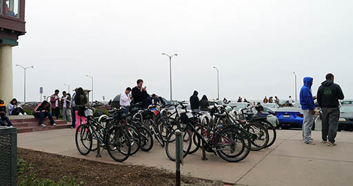 ꡼ No.003Υͥ / ϥݥեСκ褫  ҥåȥץPok&#00233;mon GOפǮ֤򥢥ꥫݡ