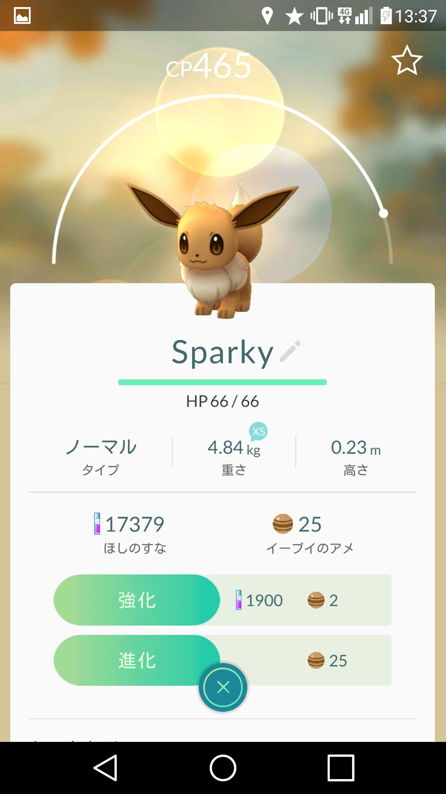 画像集 014 進化はいつすべき 後悔しないポケモンの育成方法と ポケモン 画像集 014 進化はいつすべき 後悔しないポケモンの育成方法と ポケモン