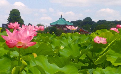 画像ギャラリー No.025のサムネイル画像 / 「Pokémon GO」強化/進化はいつすべき? 後悔しないポケモンの育成方法と,ポケモンの巣潜入レポートをお届け