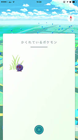 ꡼ No.005Υͥ / Pok&#00233;mon GOסiOSǤƤХåƥ꡼Сǽ衣88˼»ܤ줿åץǡȾҲ
