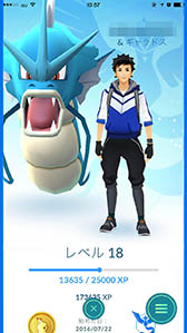 画像ギャラリー No.007のサムネイル画像 / 「Pokémon GO」,新機能「相棒ポケモン」を実装するアップデートをまもなく配信か