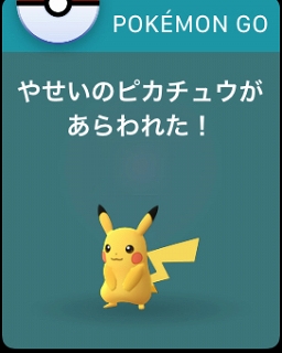 ꡼ No.019 | ͷӹץ쥤䡼ۤɤۤʤApple WatchǡPok&#00233;mon GOסPok&#00233;mon GO PlusȵǽӤʤ٥ȤʻȤάƤߤ