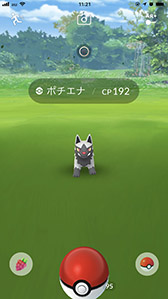 ���������꡼ No.001�Υ���ͥ������ / ��Pokémon GO�ס������ǥ��������֥����ݥ����ʤʤɤ���ޤ���ȡ����¿���Ρ֤ۤ��Τ��ʡפ������ǽ�ˡ�2��17���ޤǳ�����