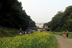 ���������꡼ No.022�Υ���ͥ������ / �ꥢ�륤�٥�ȡ�Pokémon GO Safari Zone in YOKOSUKA�פ���������ܲ�Ԥǳ��롣����Ρ����ȥ��ԥ��������쿩������