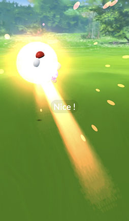 ꡼ No.006 | Ǥ⡤ޤϤƤڤѲ³֥ݥGOפΡȺɤ֥ݥåȥ󥹥 Let's Go! ԥ奦Let's Go! ֥פȤϢưˡȤȤ˾Ҳ