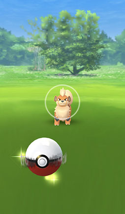 ꡼ No.007 | Ǥ⡤ޤϤƤڤѲ³֥ݥGOפΡȺɤ֥ݥåȥ󥹥 Let's Go! ԥ奦Let's Go! ֥פȤϢưˡȤȤ˾Ҳ