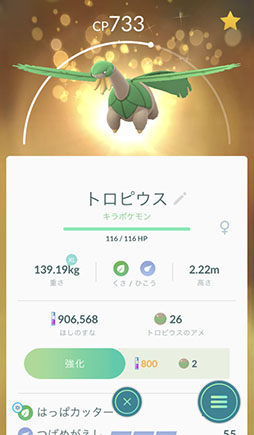 ꡼ No.052 | Ǥ⡤ޤϤƤڤѲ³֥ݥGOפΡȺɤ֥ݥåȥ󥹥 Let's Go! ԥ奦Let's Go! ֥פȤϢưˡȤȤ˾Ҳ