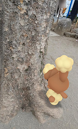 ���������꡼ No.018�Υ���ͥ������ / �֥ݥ����GO�פο���ǽ��AR�̿��򻣱Ƥ��������Ǥ����GO���ʥåץ���åȡס���ǥ��������˳��Ť��줿�θ�������ͤ��Ϥ�