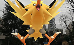 ���������꡼ No.028�Υ���ͥ������ / �֥ݥ����GO�פο���ǽ��AR�̿��򻣱Ƥ��������Ǥ����GO���ʥåץ���åȡס���ǥ��������˳��Ť��줿�θ�������ͤ��Ϥ�