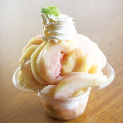 ���������꡼ No.005�Υ���ͥ������ / ʡ��α���ݥ����֥�å����פδѸ������ڡ���7��22�����鳫��