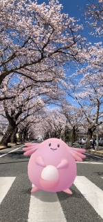 ���������꡼ No.011�Υ���ͥ������ / ʡ��α���ݥ����֥�å����פδѸ������ڡ���7��22�����鳫��