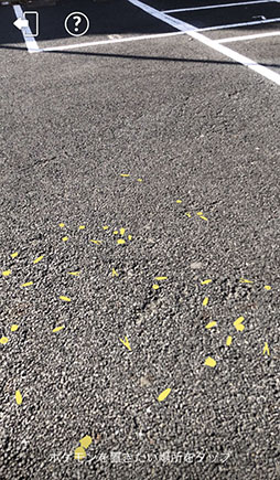 ꡼ No.033 | ʥݥоˡ⡼ɡפμʤɥȥԥåܡʲ³֥ݥGOפ2019ǯ򿶤֤äƤߤ褦