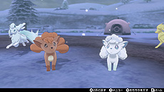 ꡼ No.031Υͥ / ֥ݥGOפȡPok&#233;mon HOMEפϢȤȡƤž̤ʡȥ᥿ɤ館