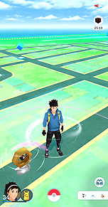 ꡼ No.035Υͥ / ֥ݥGOפȡPok&#233;mon HOMEפϢȤȡƤž̤ʡȥ᥿ɤ館