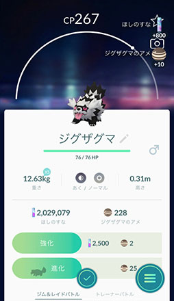 ꡼ No.008 | 2020ǯΡ֥ݥGOפǵʥȥԥå򤪤餤꡼Υ٥륢åפΥХĴ俷μʤɿʲߤޤʤ