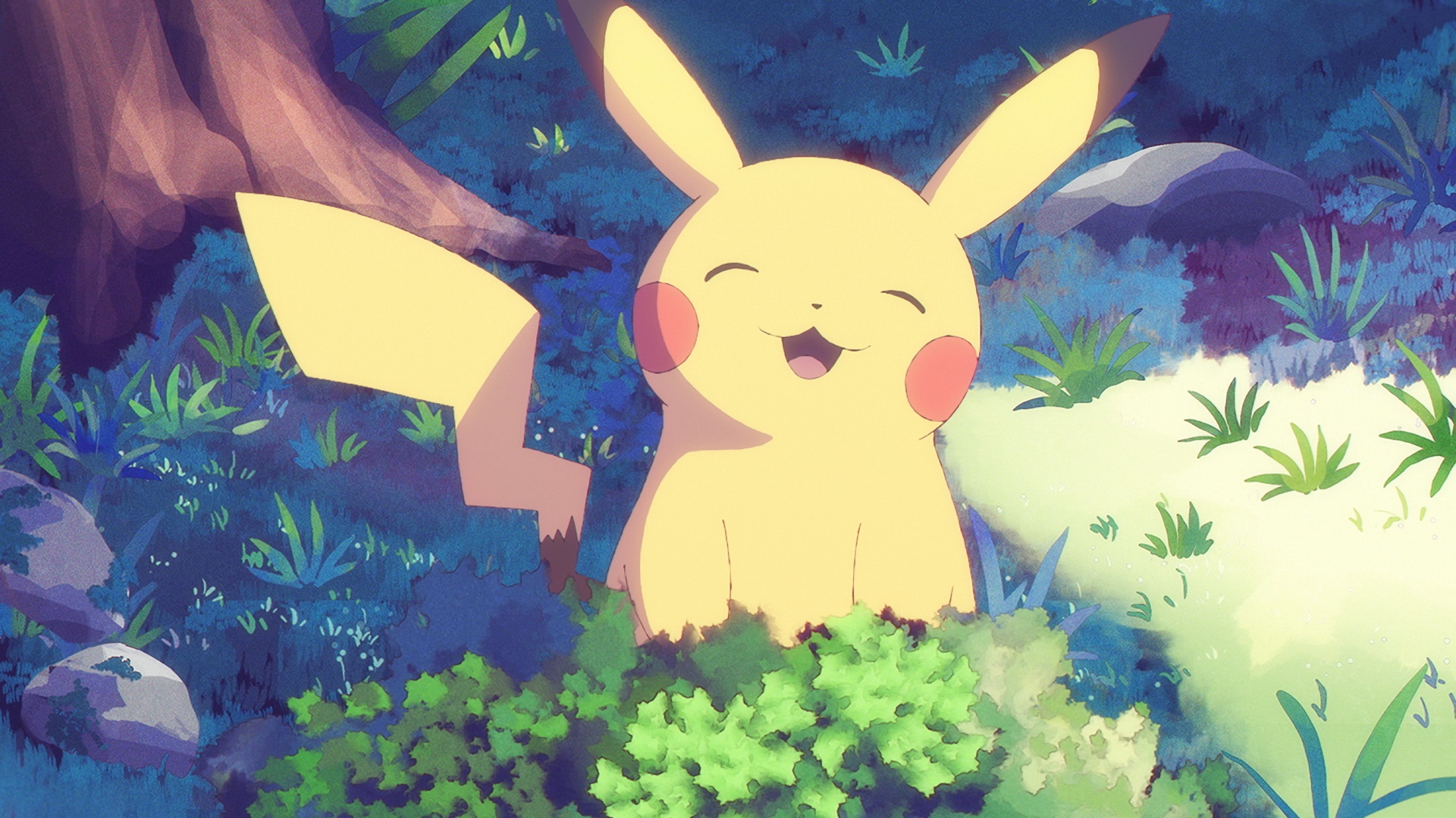 画像集no 005 新作ポケモンアニメ ユメノツボミ がyoutubeチャンネルで本日公開 画像集no 005 新作ポケモンアニメ ユメノツボミ がyoutubeチャンネルで本日公開