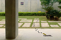 ꡼ No.013Υͥ / ֥ݥGOפˡȤ椷ɤΥԥ奦о졣ιγڤߤϤȤ󤽡청졪ݥ彸奦ɤŷ