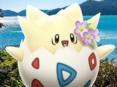 �֥ݥ����GO�פνե��٥�Ȥ�4��12���˥������ȡ��־�����դ����ݥ���󤿤��䥫�ס��֥�뤬�о�