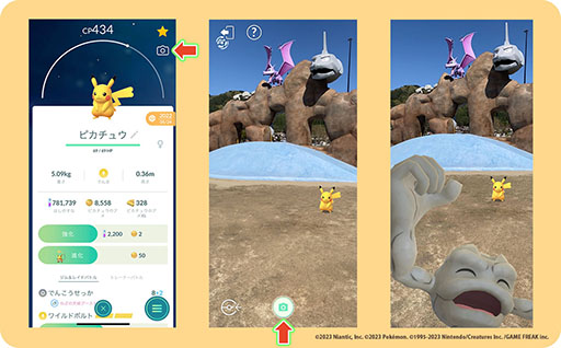 ���������꡼ No.002�Υ���ͥ������ / �ݥ����Ρ֥����ĥ֥Ƹ���פ���긩�׻��Ԥ����������ץ�ƻ�αؤˤϥݥ���󥰥å�������Ǥ��륳���ʡ���ݥ����ޥ�ۡ�����о�