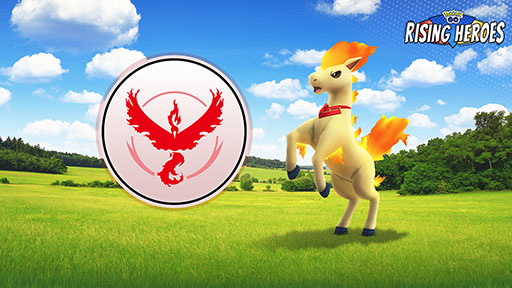 ���������꡼ No.001�Υ���ͥ������ / �ᥬ���������俧�㤤�Υ��ס���ҥ줬���о졣�֥ݥ����GO�ס����٥�ȡȾ�Ǯ�Υҡ������ɤ�5��11���˳���