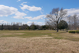 ���������꡼ No.010�Υ���ͥ������ / �֥ݥ����GO�פΥꥢ�륤�٥�ȡ�Pok���mon GO Fest 2024������פ����ŷ��ꡣ�Խ���򤱤�5��30����6��2����4���ֳ��Ť�