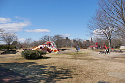 ���������꡼ No.012�Υ���ͥ������ / �֥ݥ����GO�פΥꥢ�륤�٥�ȡ�Pok���mon GO Fest 2024������פ����ŷ��ꡣ�Խ���򤱤�5��30����6��2����4���ֳ��Ť�