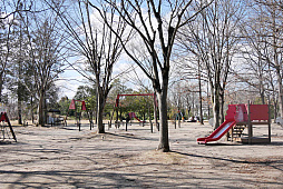 ���������꡼ No.013�Υ���ͥ������ / �֥ݥ����GO�פΥꥢ�륤�٥�ȡ�Pok���mon GO Fest 2024������פ����ŷ��ꡣ�Խ���򤱤�5��30����6��2����4���ֳ��Ť�