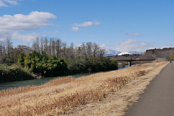 ���������꡼ No.014�Υ���ͥ������ / �֥ݥ����GO�פΥꥢ�륤�٥�ȡ�Pok���mon GO Fest 2024������פ����ŷ��ꡣ�Խ���򤱤�5��30����6��2����4���ֳ��Ť�