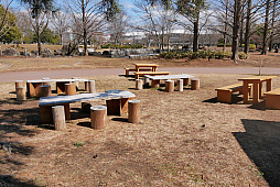 ���������꡼ No.015�Υ���ͥ������ / �֥ݥ����GO�פΥꥢ�륤�٥�ȡ�Pok���mon GO Fest 2024������פ����ŷ��ꡣ�Խ���򤱤�5��30����6��2����4���ֳ��Ť�