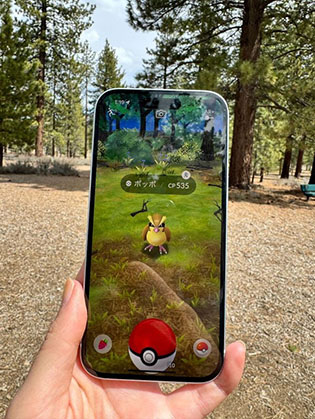 ���������꡼ No.004�Υ���ͥ������ / �֥ݥ����GO�ס���������Υӥ��奢��������GO���ʥåץ���åȡפζ�����ޤ��絬�ϥ��åץǡ��Ȥ�4��17�����缡�»�