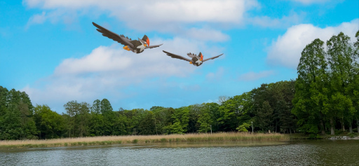 ���������꡼ No.026�Υ���ͥ������ / �֥ݥ����GO�פ�AR���Ƶ�ǽ��GO���ʥåץ���åȡפ������˶������륢�åץǡ��Ȥ������ۿ���Niantic�γ�ȯ�ؤ�����ǽ�ξܺ٤����