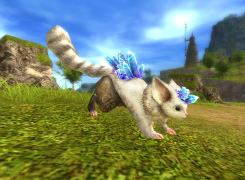 ꡼ No.013Υͥ / ӥΥ֥󥽡ɥɤMMORPG֥ޥƥפȤƺƻưϿ¥ƥȤξ餫