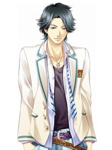 ꡼ No.009Υͥ / STORM LOVER VפθȤץPS VitaǤǤοǤѥåӥ奢ʤɤ