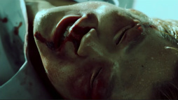 ꡼ No.022 | ꥸʥ¼̥ɥޡζǡ λפϥͥ1130ۿϤƴãʪ