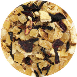 ꡼ No.005 | ֥˥塼󥬥V3פΥ֥ɥƥȶ俧ǭ㼼ɤ721ȯ