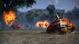 ꡼ No.012 | Ƥ2סɥƥ9ơɲǤ̳ פۿ򳫻