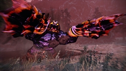 ꡼ No.013 | Ƥ2סɥƥ9ơɲǤ̳ פۿ򳫻