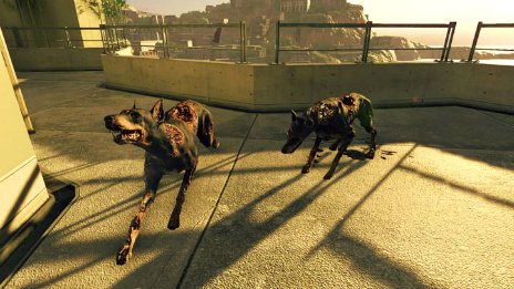 ꡼ No.022Υͥ / ֥Хϥ ֥饳פȯ2016ǯ512˷ꡣ1ѥ⡼ɤ4ס5פо줷ޥåסʥ꡼㡼