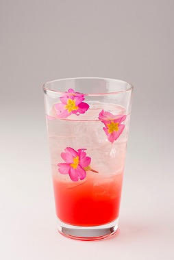 ꡼ No.017 | Ե̣աɥ˥塼ȡ֥֥饳װѥ⡼ɤμµץ쥤Ϫ줿֥Хϥ եߡƥ󥰡ץݡ