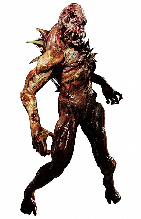 ꡼ No.009 | ֥Хϥ ֥饳ѰۤӤˤMAP˴ϡפ