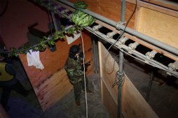 ꡼ No.037 | ХϥɤȥܤɥХХեɡֶζ ƮԳפ̥롼ΥХХ륲­θƤ