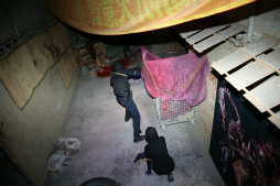 ꡼ No.041 | ХϥɤȥܤɥХХեɡֶζ ƮԳפ̥롼ΥХХ륲­θƤ